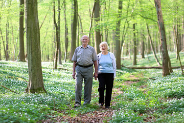 Healthy loving senior couple relaxing in beautiful summer forest