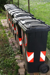 Wall Mural - trash bins for separate waste collection of solid waste 1