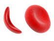 scientific illustration - sickle cell blood cell