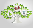 Kidneys and tree, healthy lifestyle concept