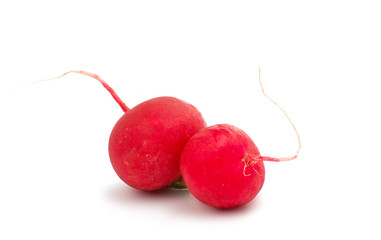 Poster - red radish isolated