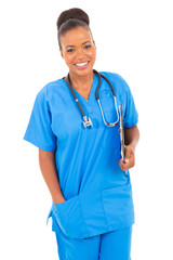 Wall Mural - african healthcare worker holding clipboard