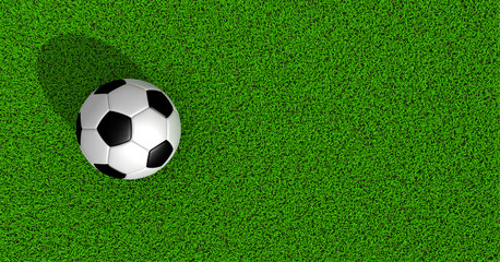 soccer ball on green grass