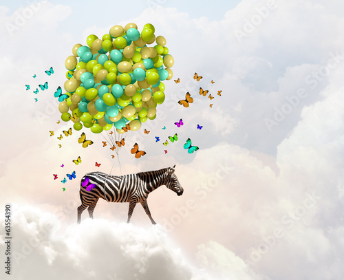 Board z aluminiowym obramowaniem Latająca zebra