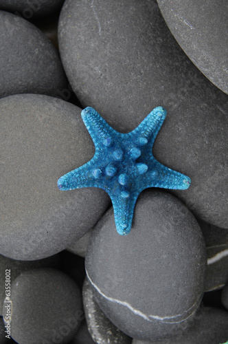 Naklejka dekoracyjna Blue starfish among river pebble stones