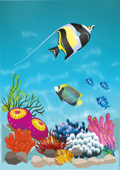 marine life with colorful fish