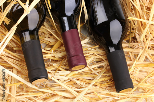 Fototapeta do kuchni Bottles of great wine on hay