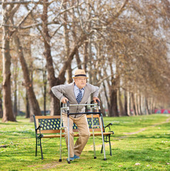 Wall Mural - Senior standing up with walker in park