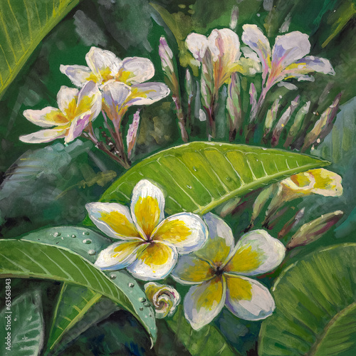 Naklejka na szybę Plumeria flowers.Watercolors.