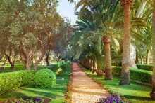 Bahai Gardens In Haifa In Israel