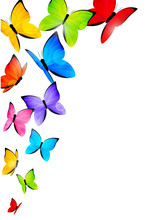 Color Butterflies