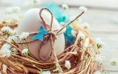 Easter egg in nest, rustic easter card,background, toned