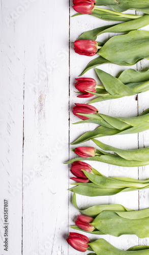 Naklejka nad blat kuchenny Tulips on white wooden planks eves