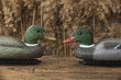 duck decoys and whistles