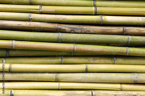 Naklejka na szafę bamboo background