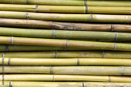 Naklejka - mata magnetyczna na lodówkę bamboo background