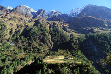 Poster - Fields and mountain