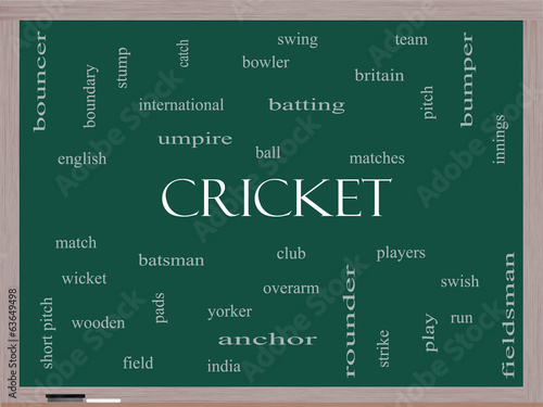 Fotografie, Obraz Cricket Word Cloud Concept on a Blackboard