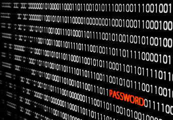 binary code with password theft