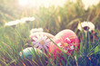 daisies and easter eggs in the grass
