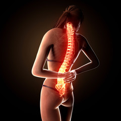 Anatomy of female back pain