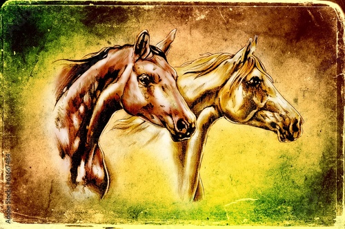 Obraz w ramie freehand horse head drawing art