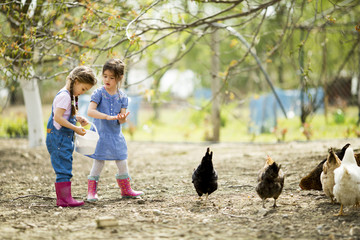 Wall Mural - Two little girls feeding chickens