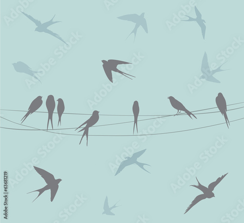 ptaki-na-drucie