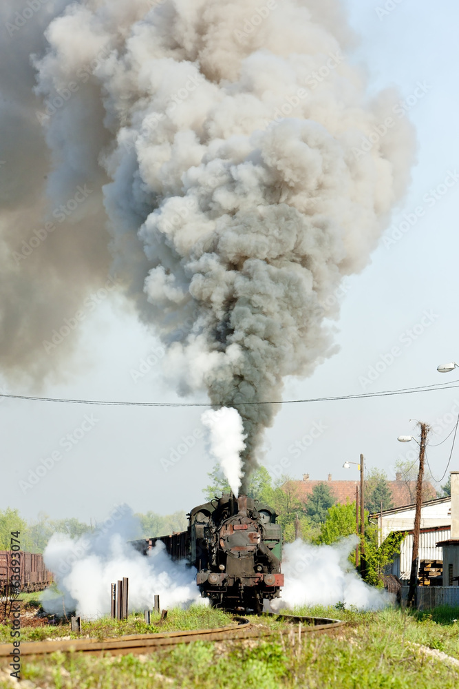 steam freight train, Durdevik, Bosnia and Hercegovina の Stock フォト ...