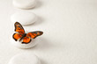 canvas print picture - Background with rocks and butterfly