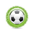 © evryka23 - Illustration of a creative ball in grass circle
