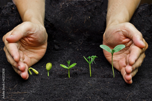Plagát plants growing in sequence of seed germination on soil