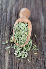 Poster - fennel seed in a wooden scoop on table