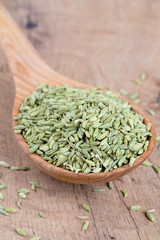 Poster - fennel seed in a wooden spoon on table