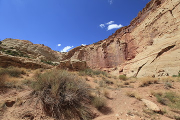 Wall Mural - capitol Reef