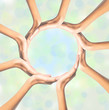 © wolfelarry - Human hands making circle on bright background