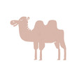 camel cartoon - vector