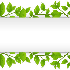 Wall Mural - Background With Green Branches