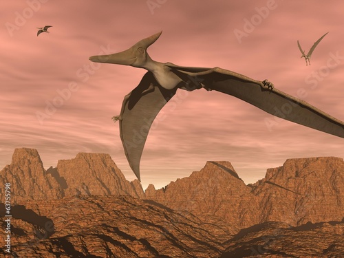 Fotoboard na płycie Pteranodon dinozaury latające - 3d render