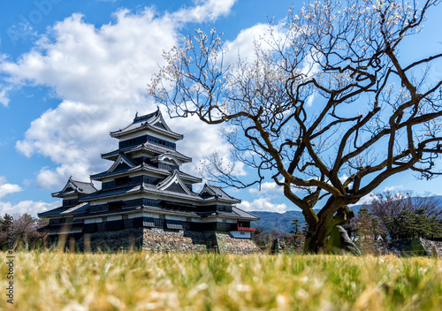 Naklejka samoprzylepna Zamek matsumoto, japonia
