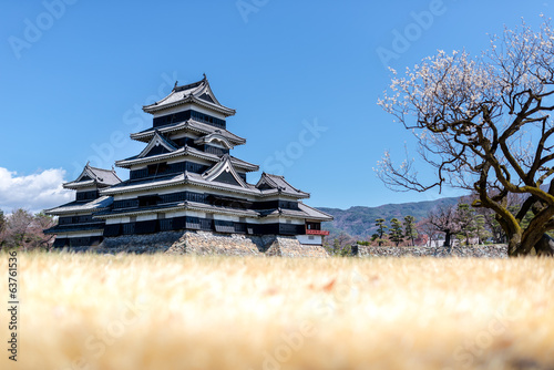 Board z aluminiowym obramowaniem Zamek matsumoto, japonia