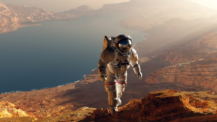 the astronaut