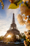 Fototapeta  - Eiffel Tower during spring time in Paris, France
