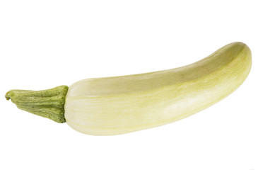 marrow squash isolated on white