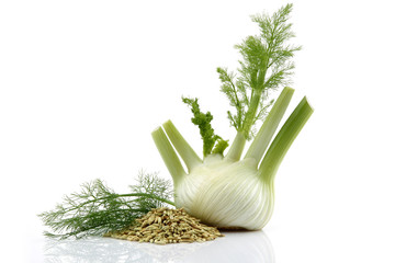 Sticker - Fresh Fennel and Fennel Seed