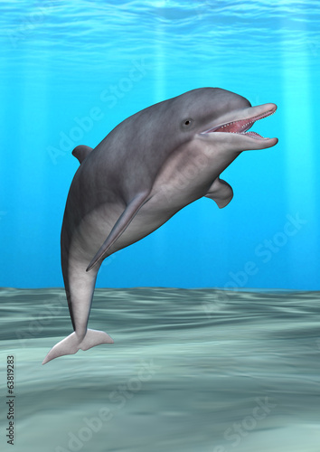 Naklejka samoprzylepna Uśmiechnięty delfin