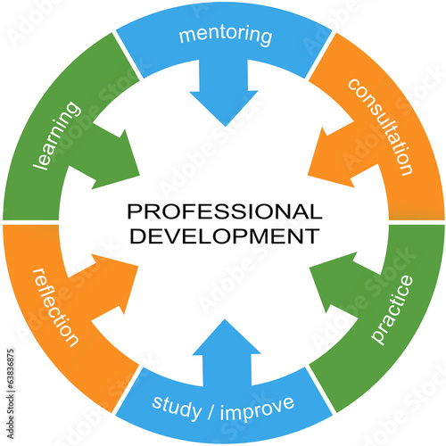 Fotografie, Obraz Professional Development Word Circle Concept