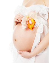 Pregnant Belly, Woman Pregnancy Stomach And Flower