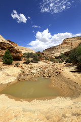 Wall Mural - water pocket fold de capitol Reef