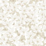 Seamless background with white flowers. Vector illustration.